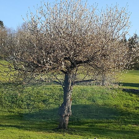 Gite Bard Des Ours Saint-Martin-en-Vercors Exteriér fotografie
